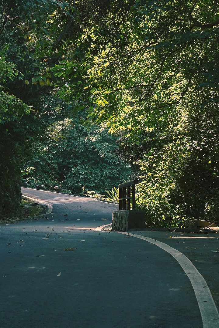 【Z50】漫步百年獅山古道