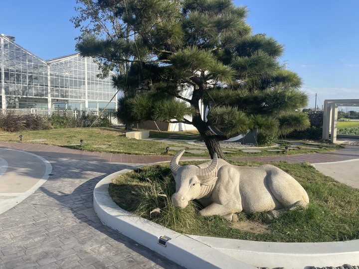 土庫可可莊園之大掃除忙裡偷閒