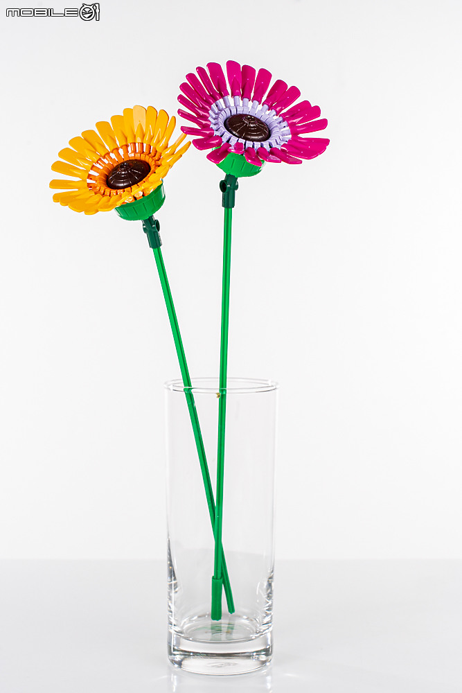 樂高LEGO 10313 / 10314 Icons 野花花束、乾燥花擺設|一展園藝心思的真「塑膠」花