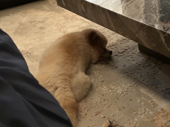 【開箱】我想住飯店啊啊啊(圖多、微負能量)
