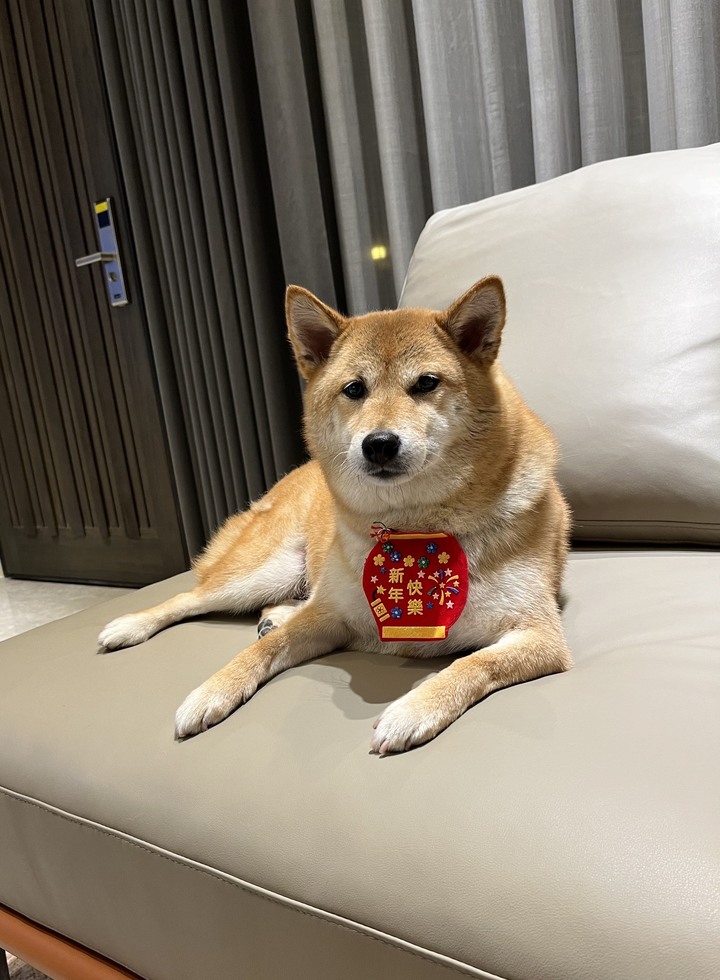 【開箱】我想住飯店啊啊啊(圖多、微負能量)