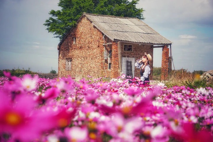 宛若歐洲小鎮鄉村美景！佇立在繽紛花海中的「磚紅小屋」，田園風情滿點！