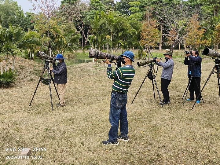 點我看大圖 Nikon Z9+863PF+1.4X清楚記錄地啄木進食螞蟻的過程