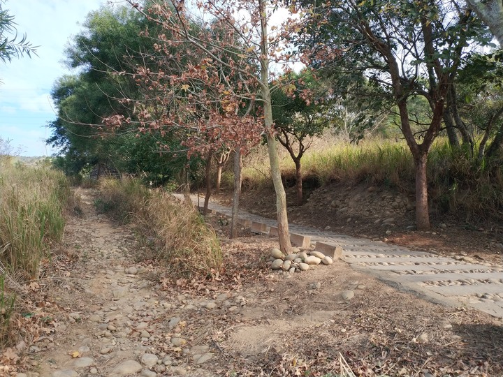 (圖/影) 台中龍井超級八MTB路線 (南寮登山步道)