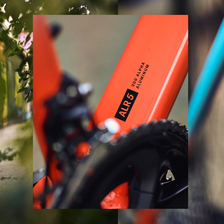 不同於 allez 一台全內線漂亮的鋁車