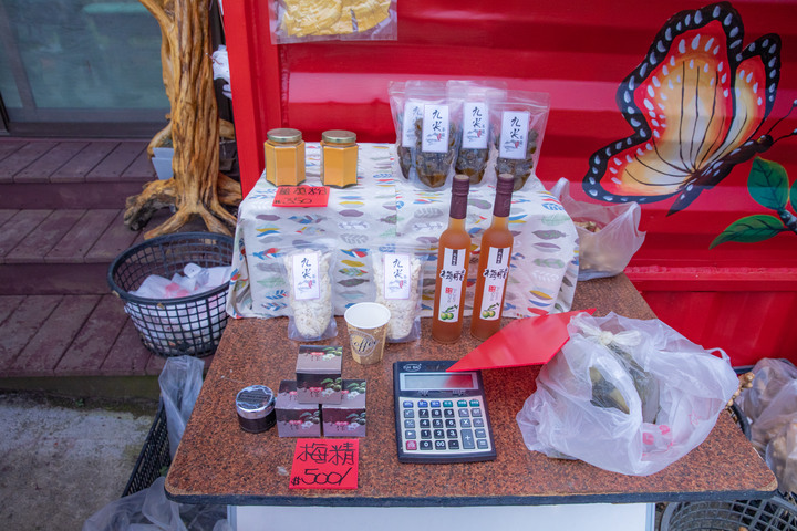 【小惡魔好玩兔U】九份二山走春賞梅趣