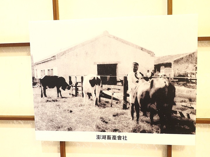 澎湖開拓館、澎湖縣文化園區【海洋資源館、二呆藝館、澎湖化石館】 — 澎湖市區文化景點 — 2022冬遊澎湖遊記 第四部