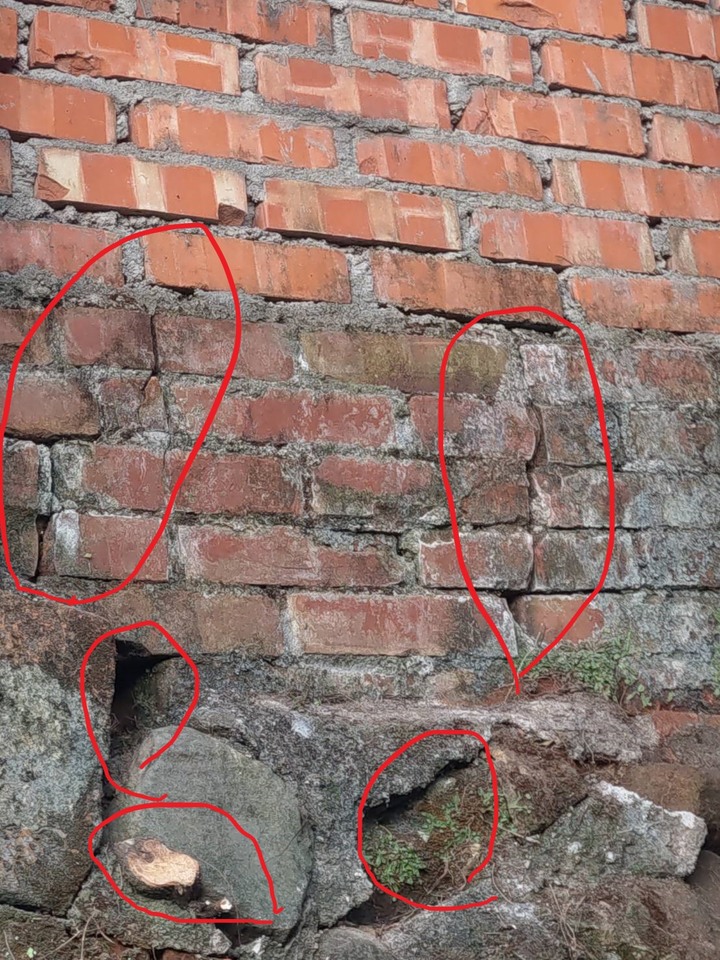 請問半山腰的房子有傾斜現象~~