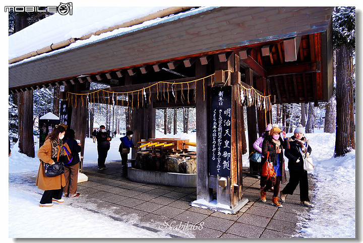 【小惡魔好玩兔U】札幌人氣景點 "北海道神宮"