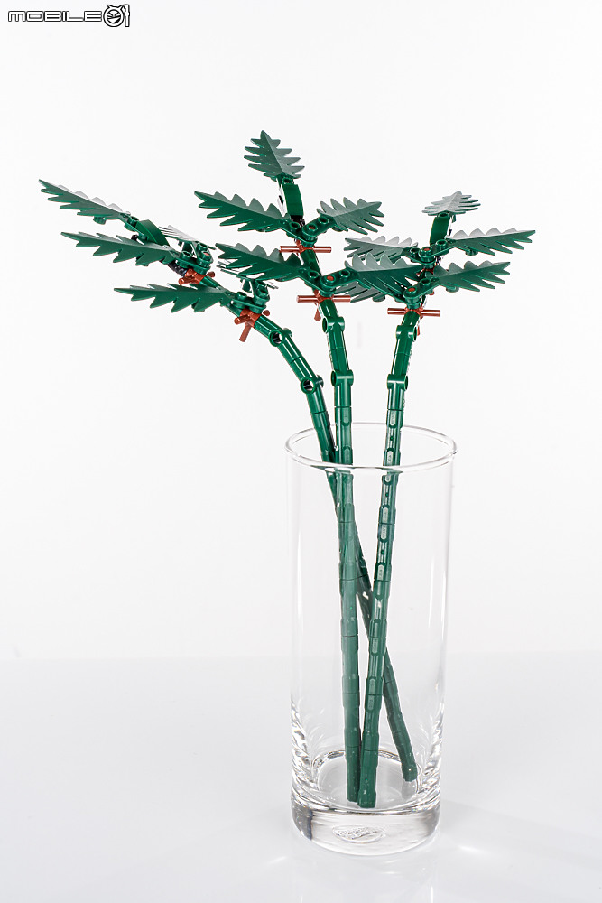 樂高LEGO 10313 / 10314 Icons 野花花束、乾燥花擺設|一展園藝心思的真「塑膠」花