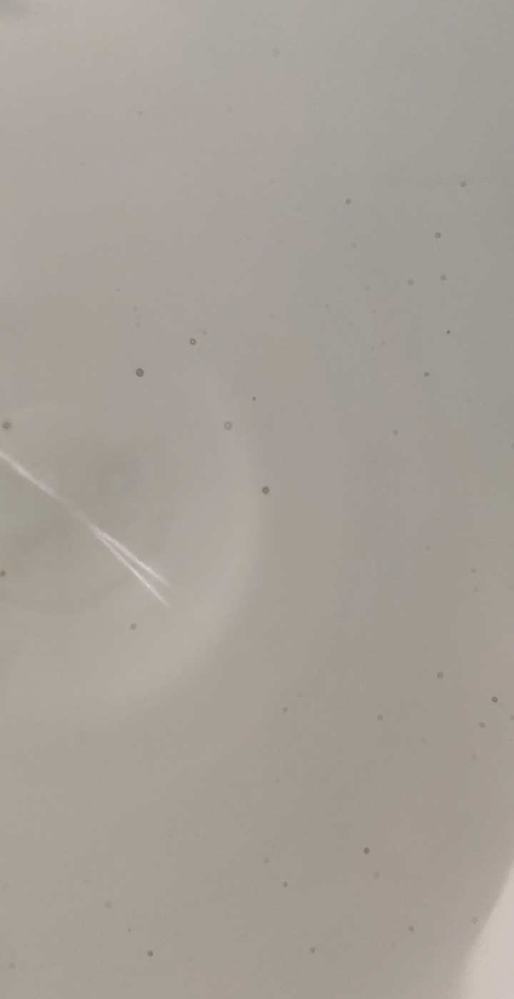 新買的不鏽鋼鍋有小洞,算是瑕疵品吧!
