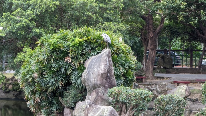 【小惡魔好玩兔U】初三走春 - 廚窗港點士林官邸店 / 雙溪公園 / 大直美麗華百樂園巧遇糖果魔法森林巨無霸氣墊遊樂場