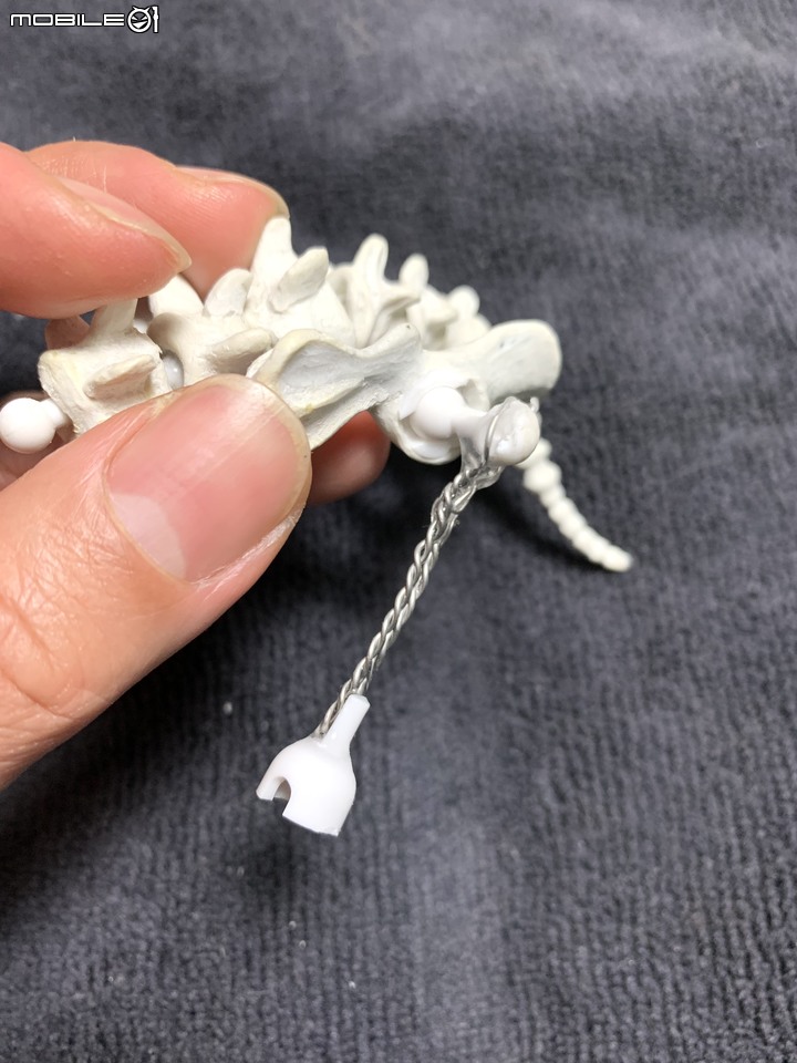 DIY 劍齒虎骨歷經13年終於製作完成.