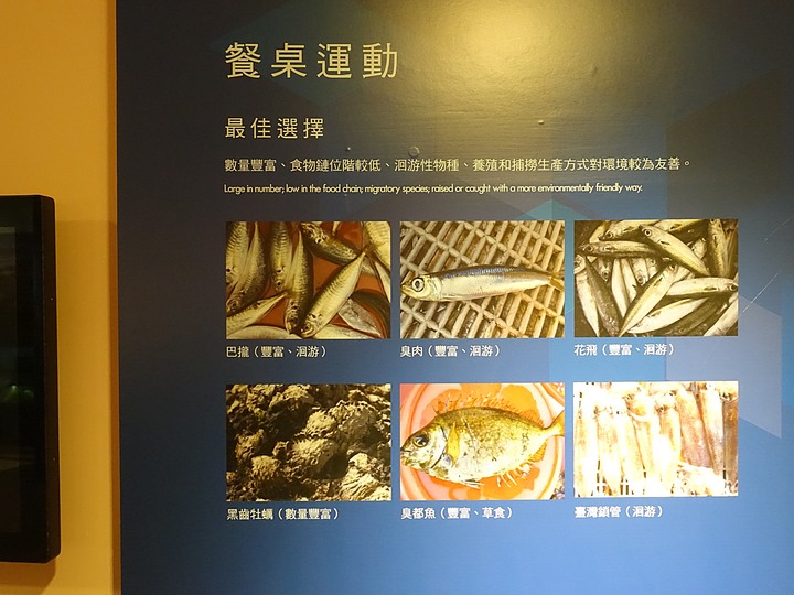 澎湖開拓館、澎湖縣文化園區【海洋資源館、二呆藝館、澎湖化石館】 — 澎湖市區文化景點 — 2022冬遊澎湖遊記 第四部