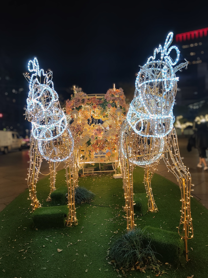 【小惡魔好玩兔U】台北信義101周邊拍照聚餐樂，寵物友善餐廳～海灘叢林 A Beach