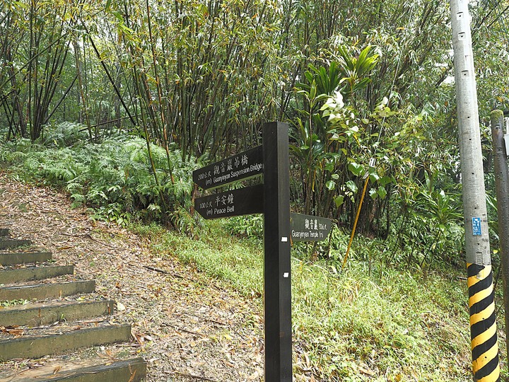 菁桐車站與老街、平溪車站與老街、平溪公園頂歷史建築群、十分車站與天燈鐵道街,及各站間DR1000型柴油客車搭乘紀錄 — 「鐵道旅行•幸福美好111」紀念章戳收集紀錄之平溪支線