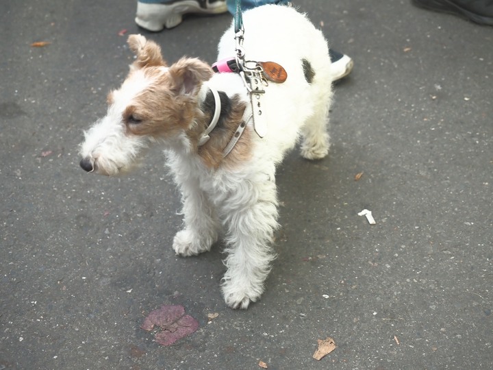 【小惡魔好玩兔U】東港 海上教堂 in 大鵬灣國家風景區、可因山枋寮旗艦店、(黃)萬丹紅豆餅 — 來去多好幾度的屏東 — 2023新年走春 第一部