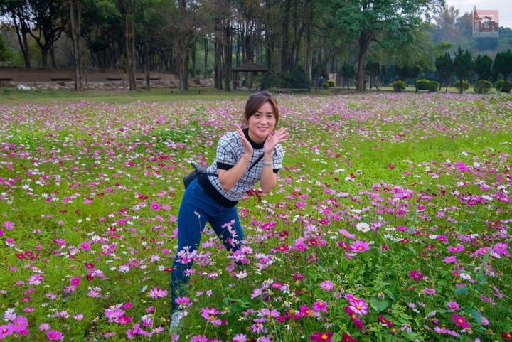 【臺南景點】台南農曆春節這樣玩，一站式休閒農場，適合一家大小來玩耍，就在走馬瀨休閒農場~2023新春走馬瀨瀨祭
