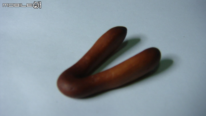 DIY 劍齒虎骨歷經13年終於製作完成.