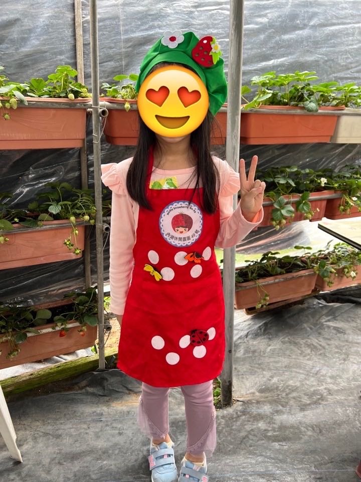 【小惡魔好玩兔U】苗栗大湖吳家高架草莓,把握最後的採收期