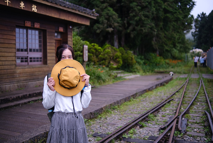 點我看大圖 【樹抱石神木】阿里山二萬坪森林步道上讓人讚嘆的大自然造物奇景