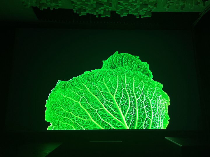 點我看大圖 AWOL 2500 3500 三色雷射電視,輕鬆擁有大電視