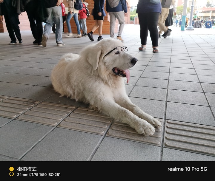 Realme 10 Pro小拍照