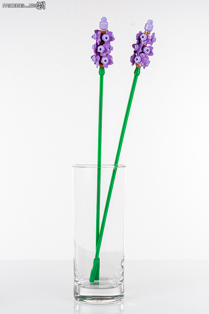 樂高LEGO 10313 / 10314 Icons 野花花束、乾燥花擺設|一展園藝心思的真「塑膠」花