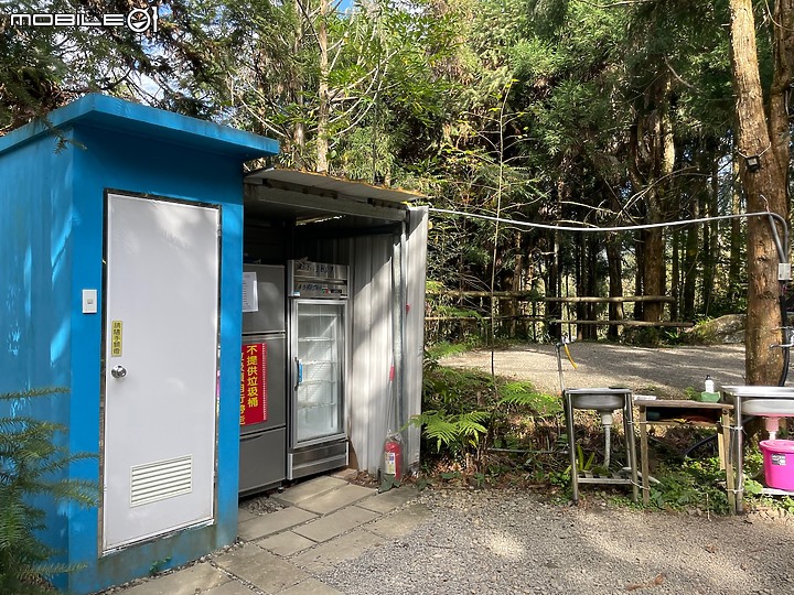 點我看大圖 親子露營|苗栗・杉美:初訪森林系營地,濃霧更添神秘感