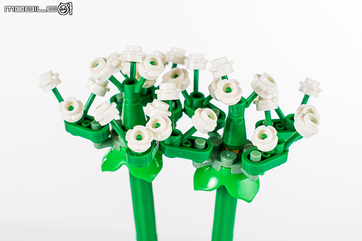 樂高LEGO 10313 / 10314 Icons 野花花束、乾燥花擺設|一展園藝心思的真「塑膠」花