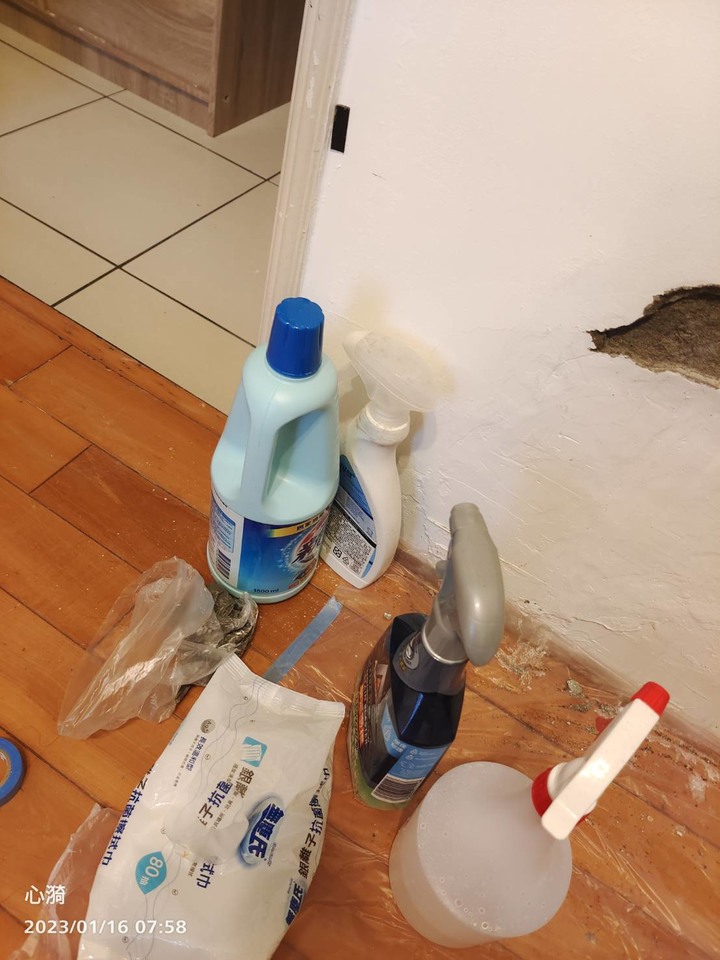 水泥上的白毛毛