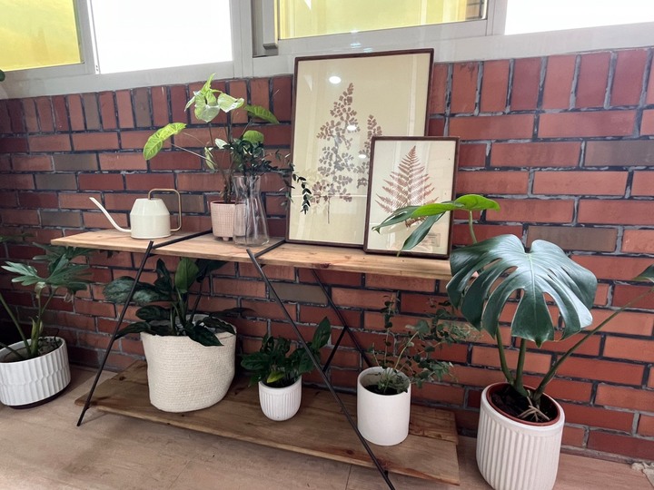 【開箱】植感簡約風 簡單打造新房陽台綠意空間