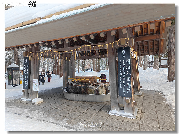 【小惡魔好玩兔U】札幌人氣景點 "北海道神宮"
