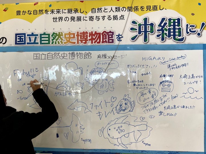 【小惡魔好玩兔U】沖繩 | 名護市Nago 可愛鳳梨公園&悠閒浮潛&海洋公園之旅