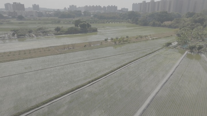 小弟想請教為何Mavic 3 Classic 為何錄影畫面都會霧霧的 ?