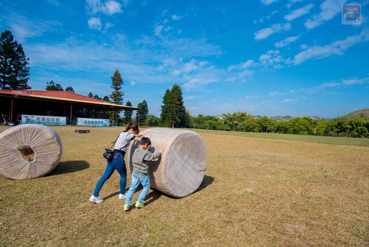 【臺南景點】台南農曆春節這樣玩，一站式休閒農場，適合一家大小來玩耍，就在走馬瀨休閒農場~2023新春走馬瀨瀨祭