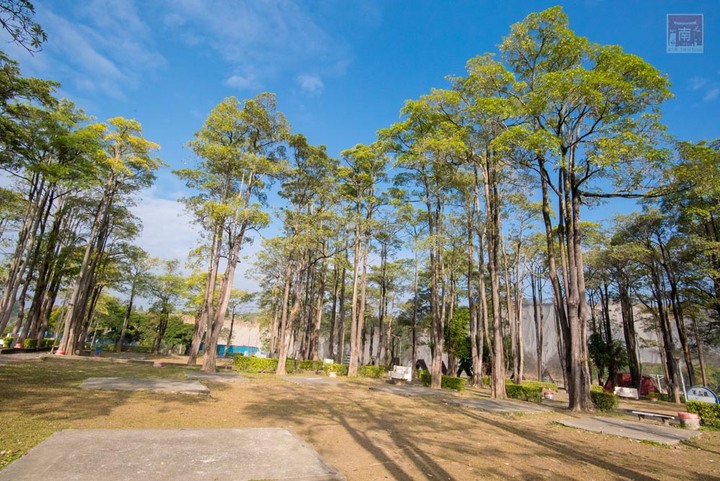 【臺南景點】台南農曆春節這樣玩，一站式休閒農場，適合一家大小來玩耍，就在走馬瀨休閒農場~2023新春走馬瀨瀨祭