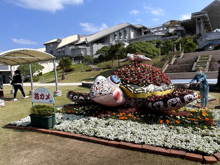 【小惡魔好玩兔U】沖繩 | 名護市Nago 可愛鳳梨公園&悠閒浮潛&海洋公園之旅