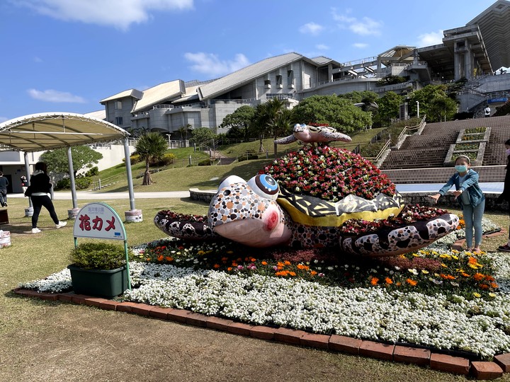 【小惡魔好玩兔U】沖繩 | 名護市Nago 可愛鳳梨公園＆悠閒浮潛＆海洋公園之旅