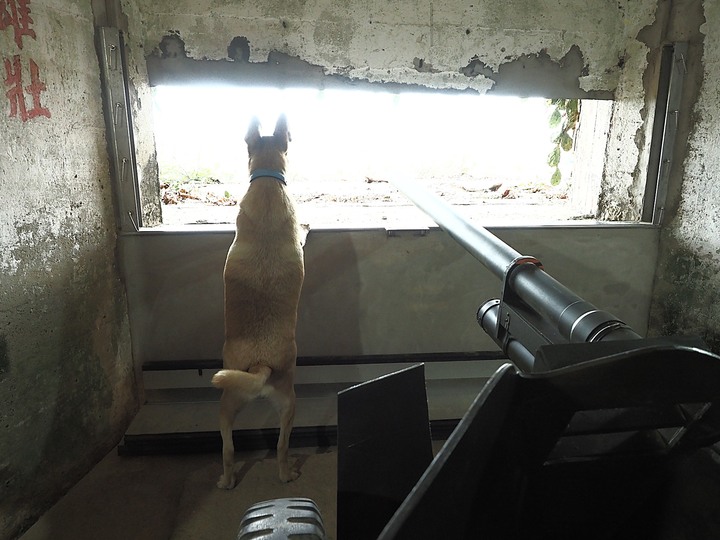 湖西 龍門閉鎖陣地、龍門裡正角日軍上陸紀念碑、鼎灣四眼井 — 澎湖島軍事及歷史景點 — 2022冬遊澎湖遊記 第六部