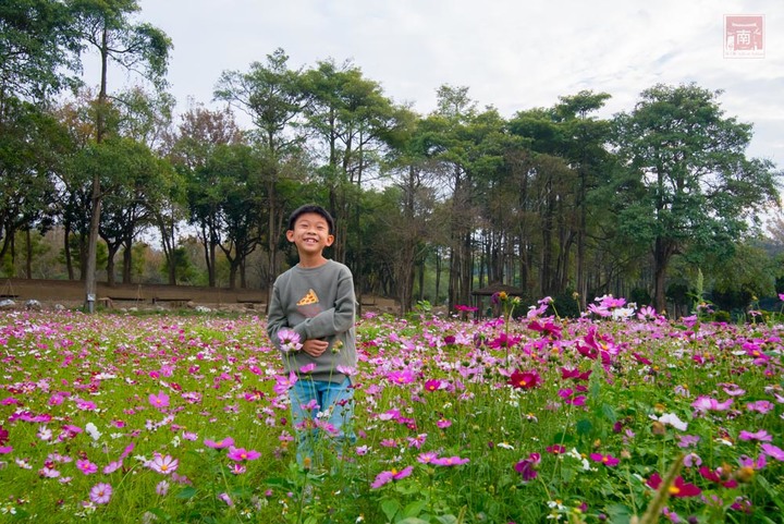 【臺南景點】台南農曆春節這樣玩，一站式休閒農場，適合一家大小來玩耍，就在走馬瀨休閒農場~2023新春走馬瀨瀨祭