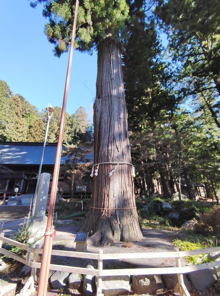 【小惡魔好玩兔U】挑望富士山的絕妙景點－富士河口湖／天空鳥居／河口淺間神社