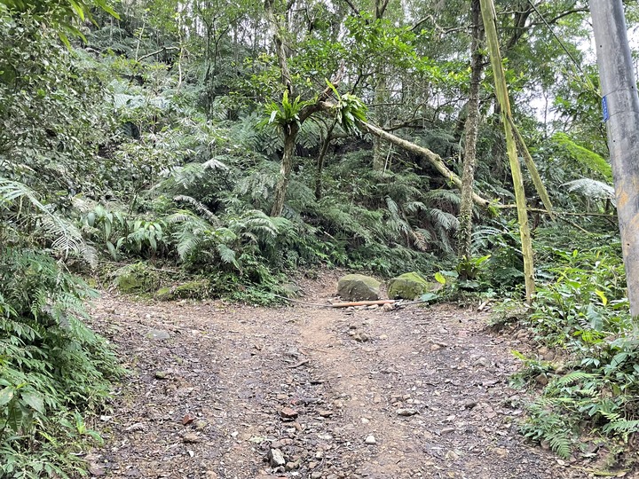 台北哪裡看雲海？二格山