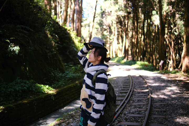 點我看大圖 【水山巨木步道 】一條結合阿里山森林鐵道文化與探訪千年水山巨木的步道