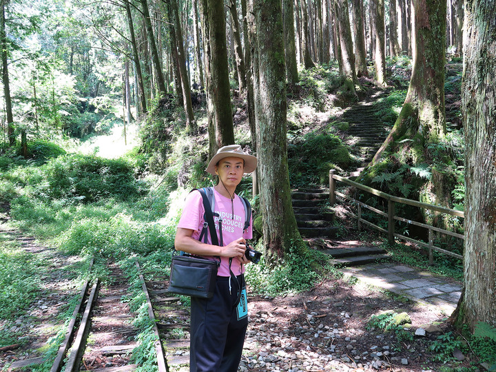 點我看大圖 【水山巨木步道 】一條結合阿里山森林鐵道文化與探訪千年水山巨木的步道