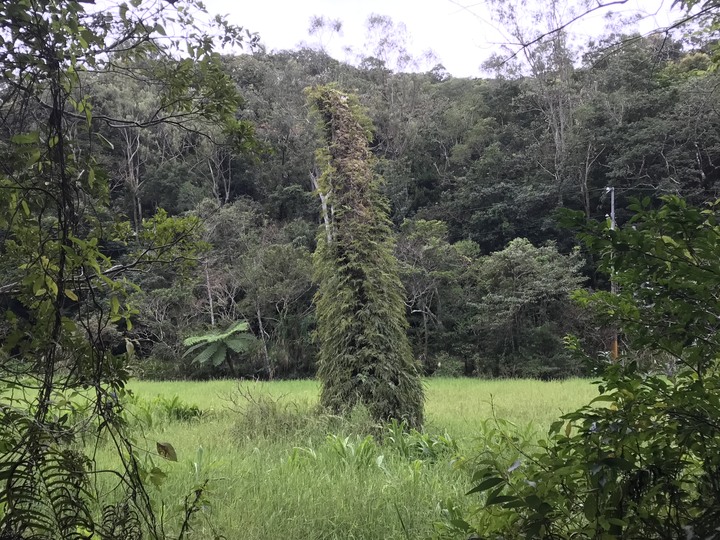 革命前夕之臨時起意摩托車環島旅行
