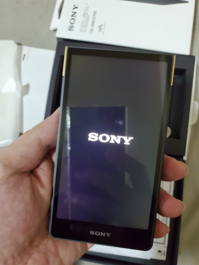 Sony NW-ZX707入手