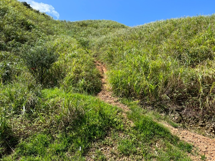 新北雙溪|燦光寮山.登頂視野遼闊,山海美景一次擁有