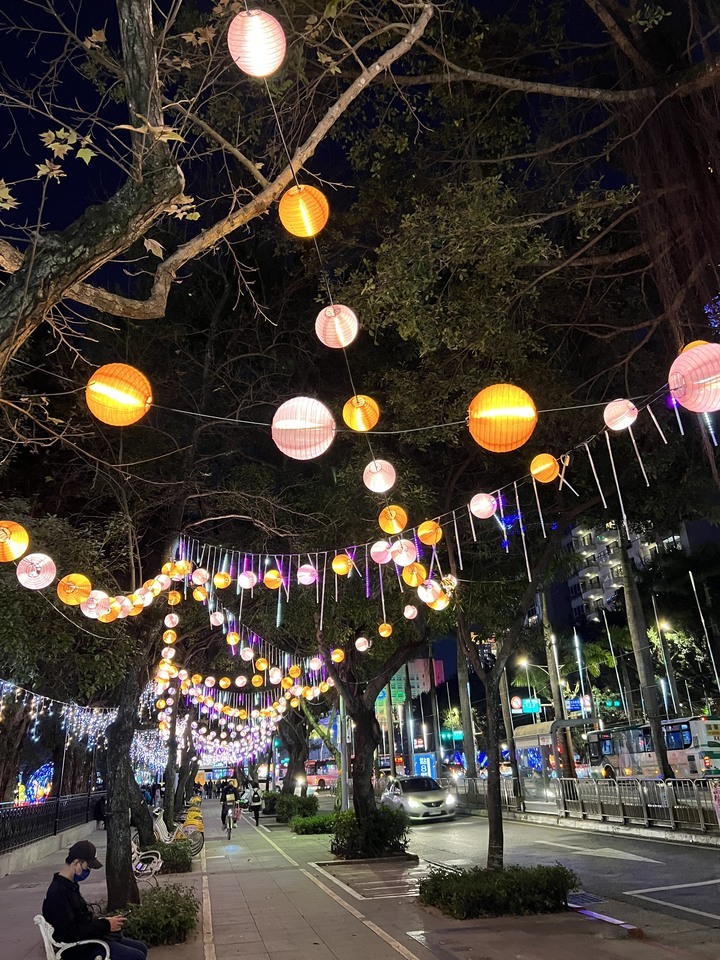 春節 / 走春 , 花燈 / 櫻花 !