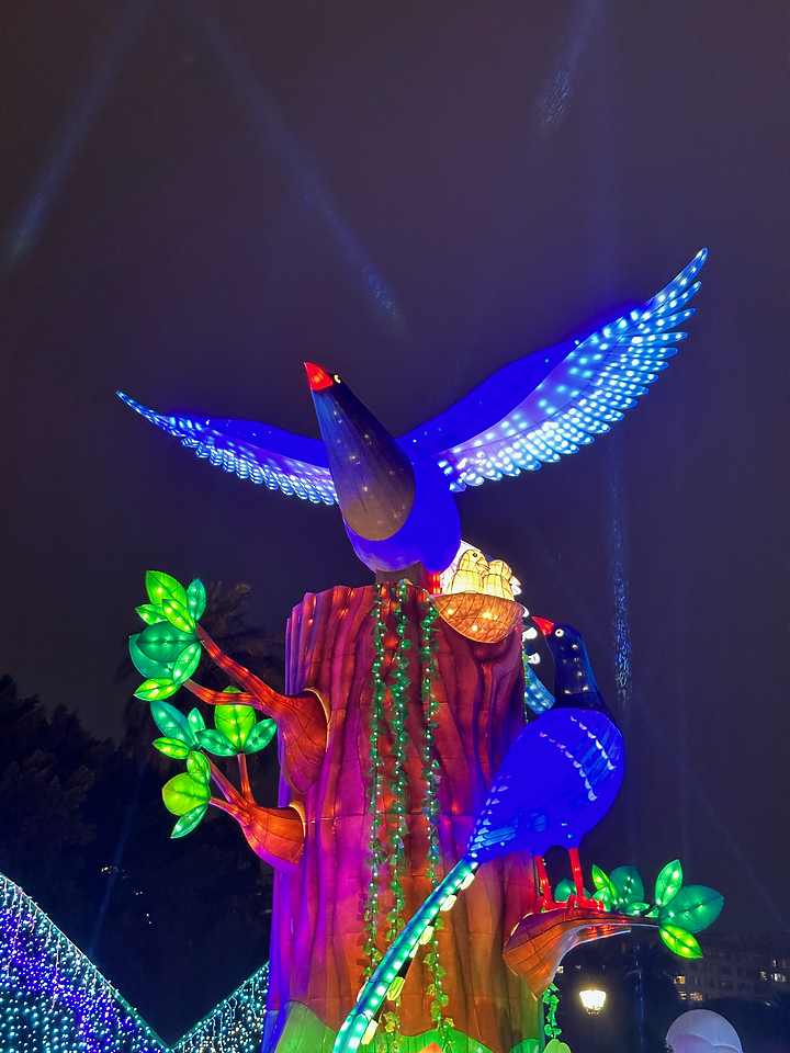 台灣燈會：直達主燈科技兔路線